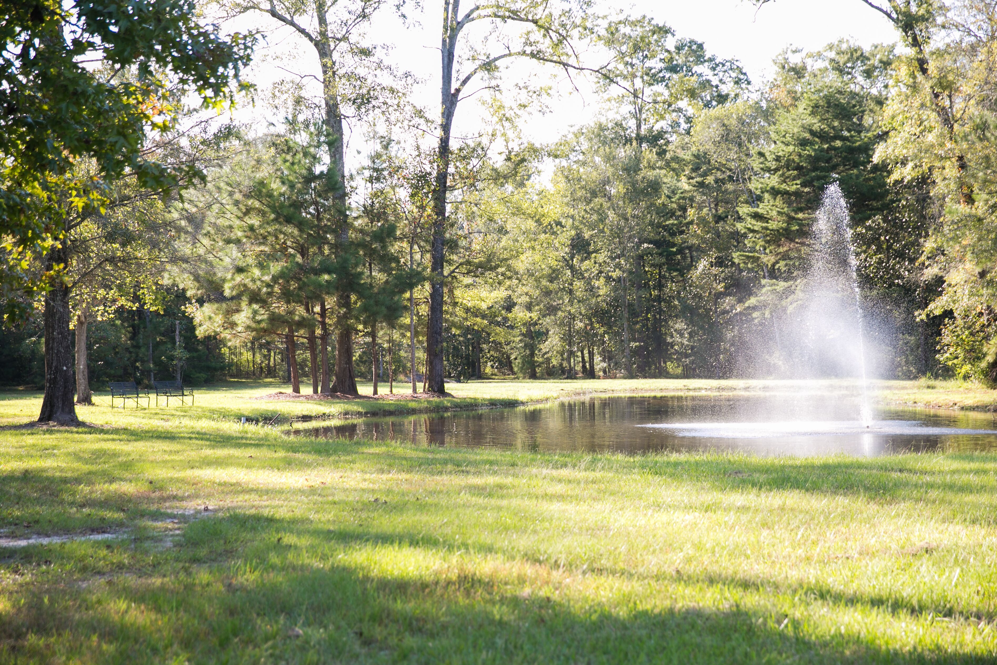 A park with a pond, trees, and a fountain.