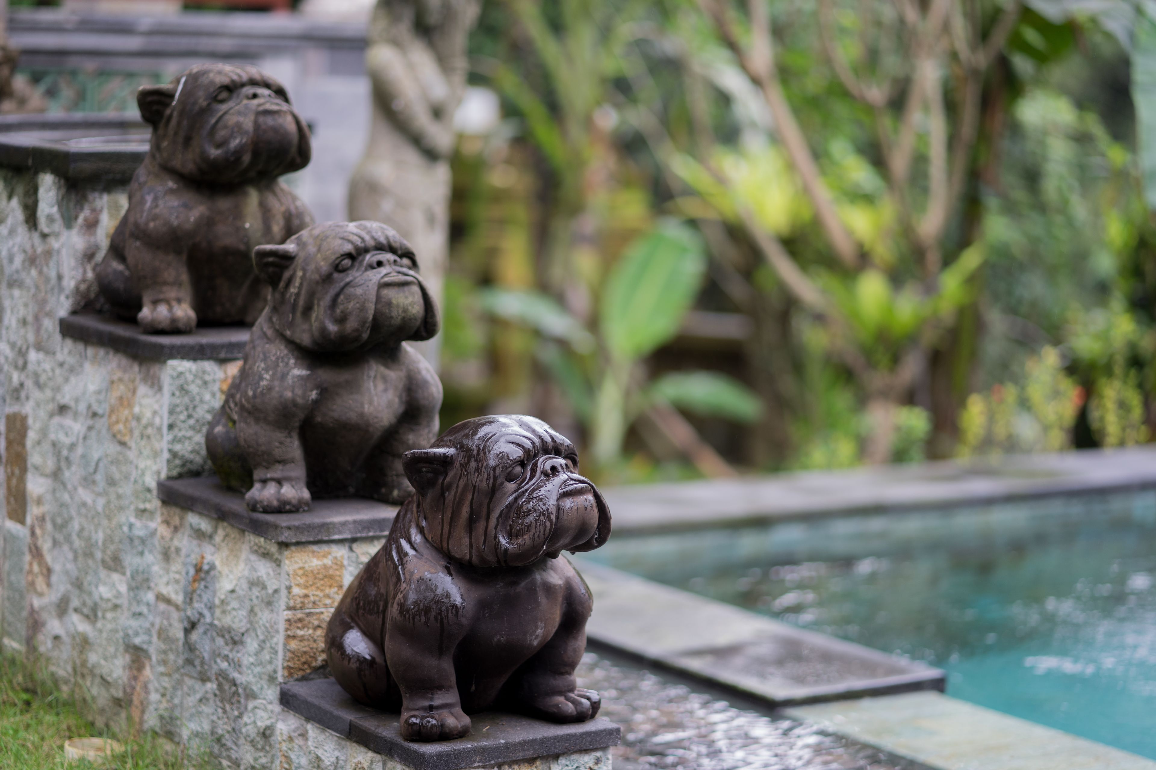 Foto - Ketut's Place Cottage Ubud