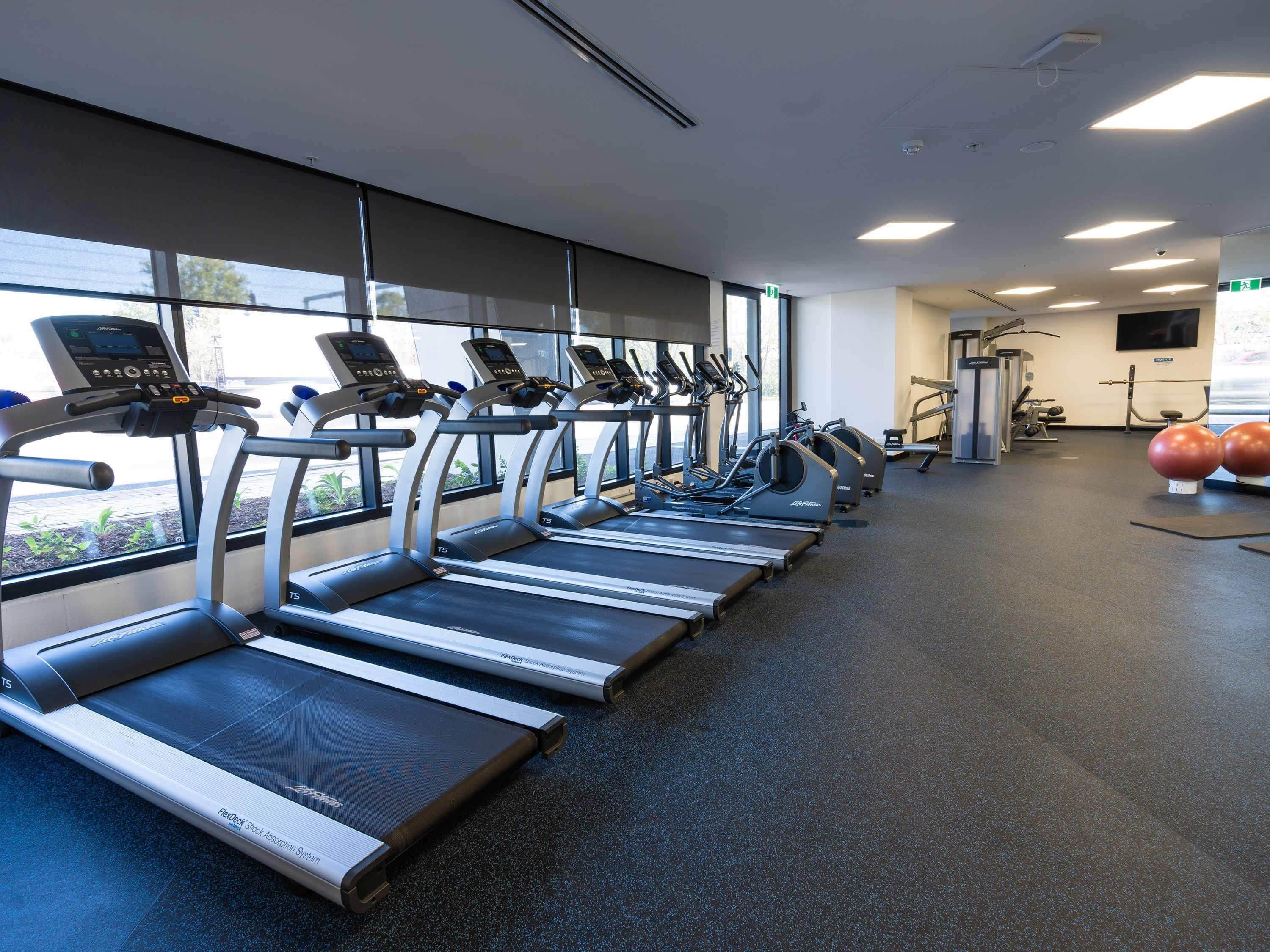 A row of treadmills with digital displays, a weight bench, and exercise balls in a gym with large windows.