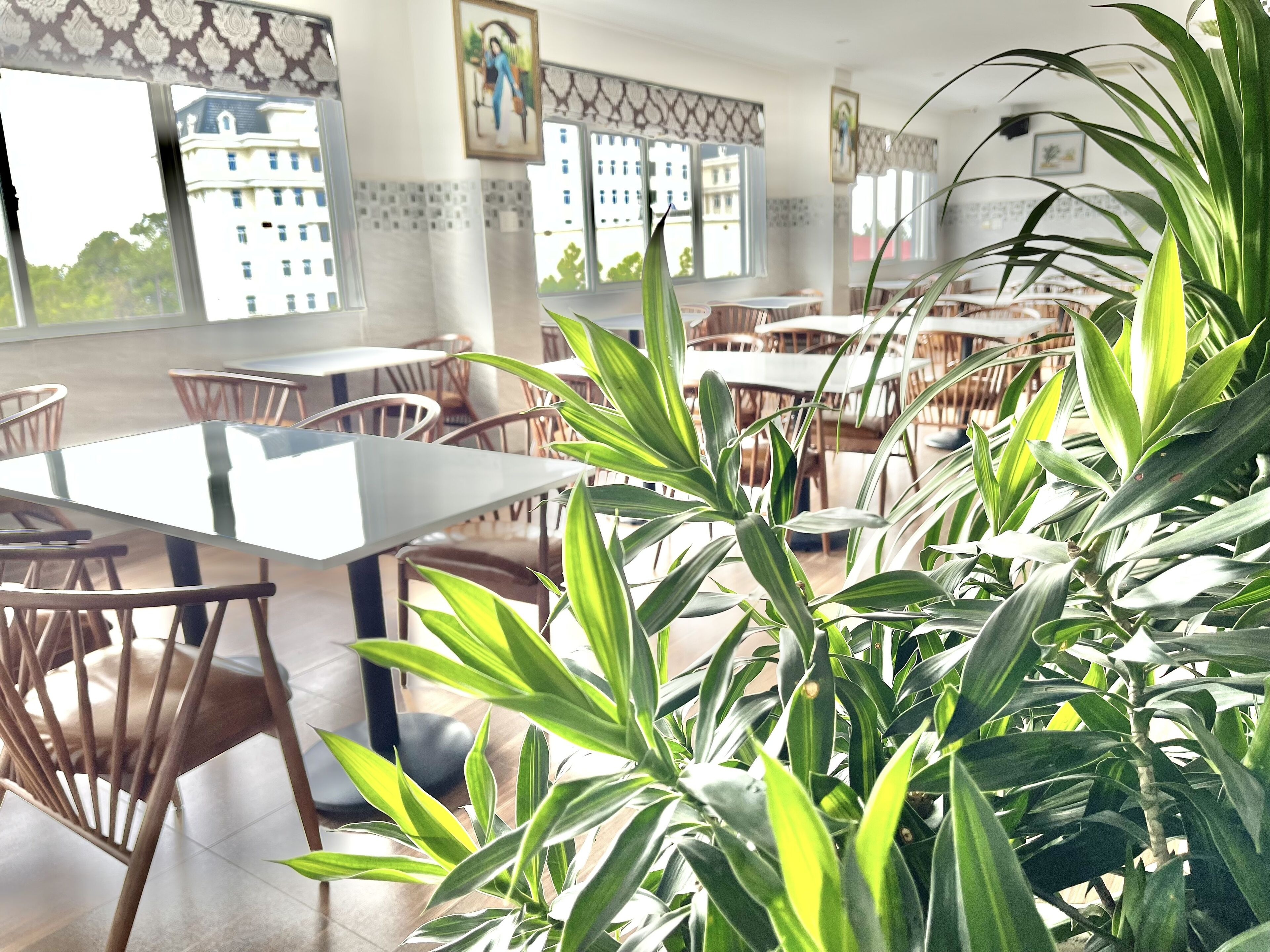 A dining area with tables and chairs, large windows, and indoor plants.