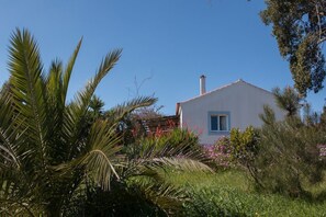 Un edificio blanco con una ventana azul y una chimenea, rodeado de exuberante follaje y plantas con flores.