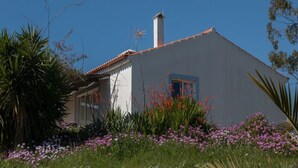 Een huis met een witte gevel, een rode pannendak en een schoorsteen. Er is een raam met een blauwe omlijsting en een deur. Het huis wordt omringd door een tuin met diverse planten en bloemen.