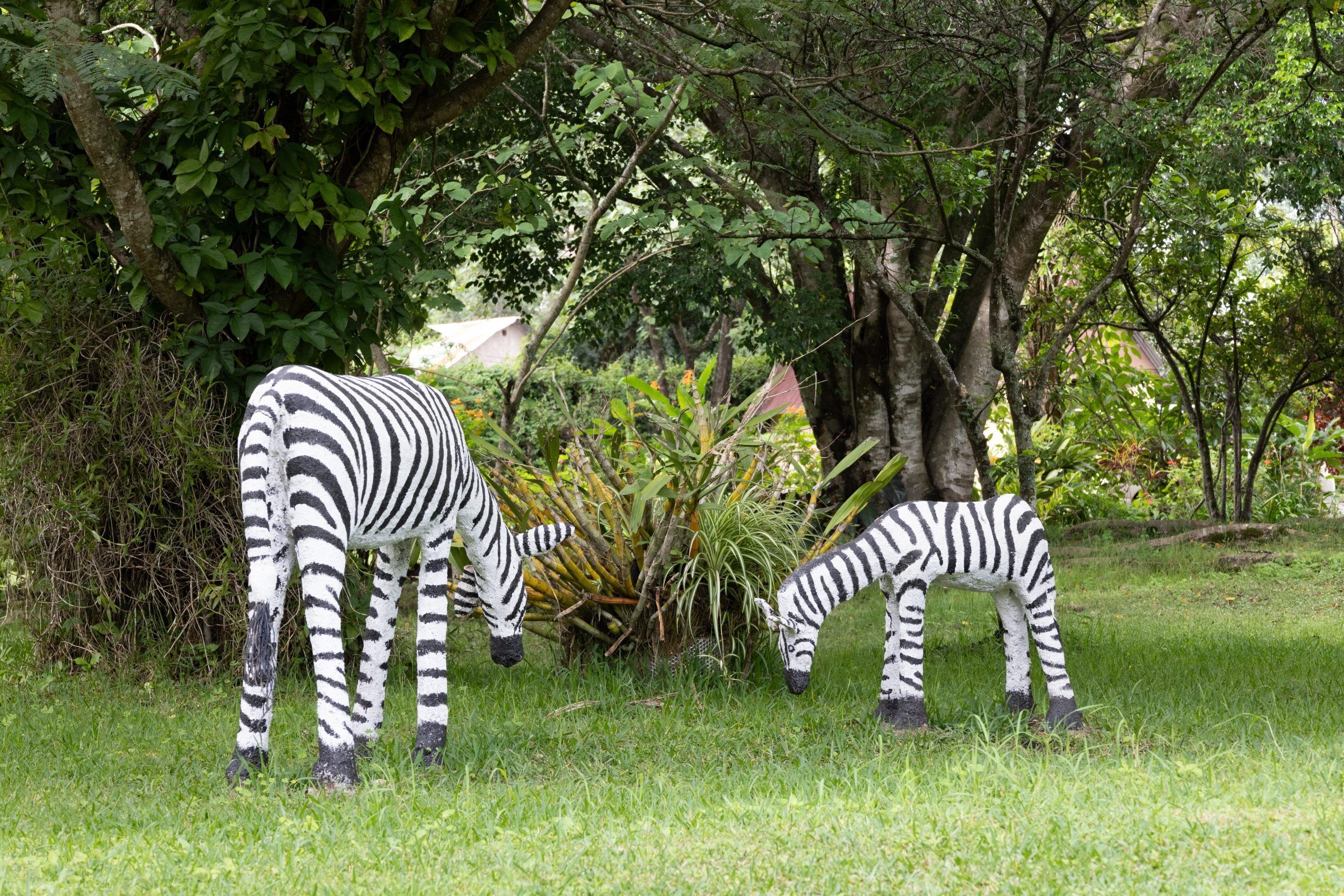 メルー ビュー ロッジ Expedia提供写真