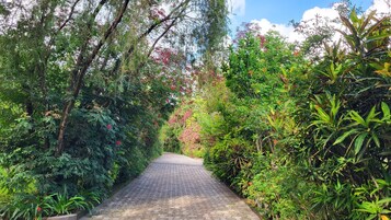 Entrada al alojamiento