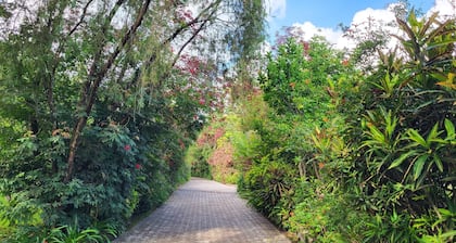 Meru View Lodge