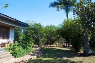 Una casa con porche cubierto, un sendero de piedra y exuberante vegetación, incluyendo una palmera.