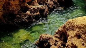 A rocky landscape with a narrow water channel. - Albufeira Sea view (51) (Albufeira)