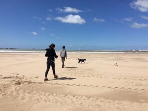 Playa en los alrededores 