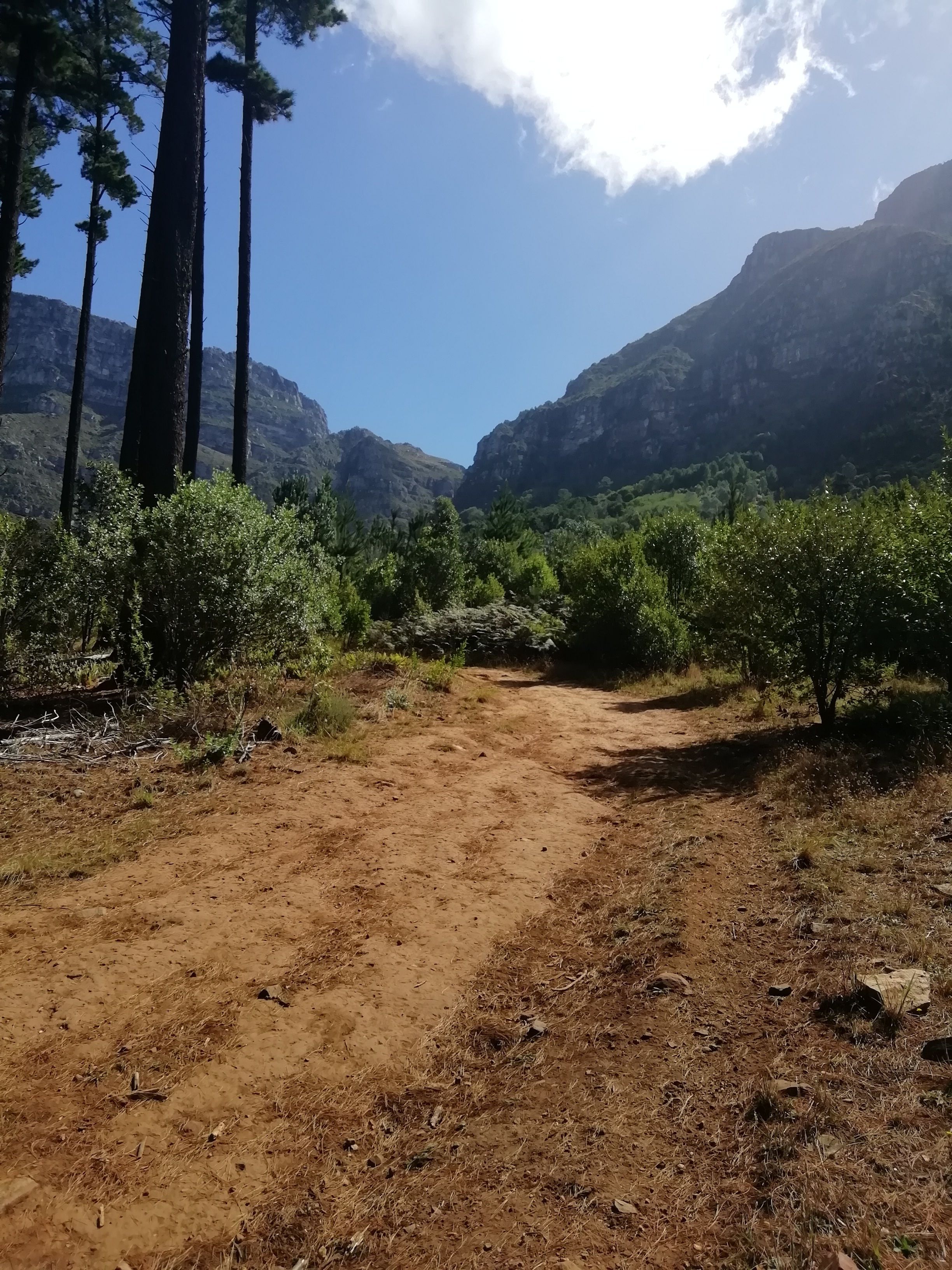 Photo - Newlands Guest House