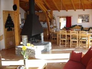 TV, fireplace, books, music library