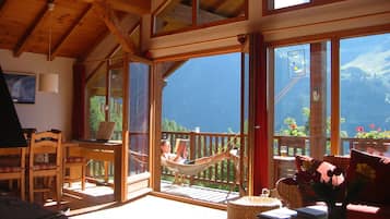 TV, fireplace, books, music library