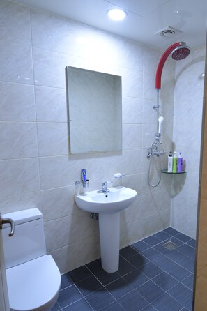 Douche, articles de toilette gratuits, sèche-cheveux, peignoirs