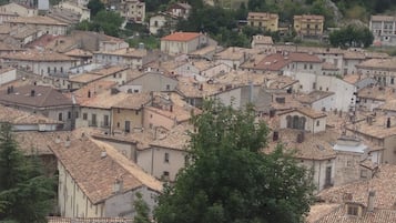 A densely packed urban area with closely built terracotta-roofed buildings.