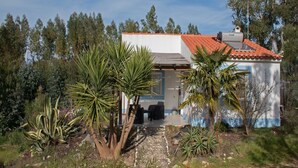 Ein Haus mit rotem Ziegeldach, umgeben von Pflanzen und Bäumen.