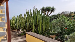 المنطقة المحيطة با�لمنشأة