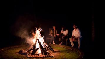 A campfire with logs arranged in a circle, surrounded by a grassy area.