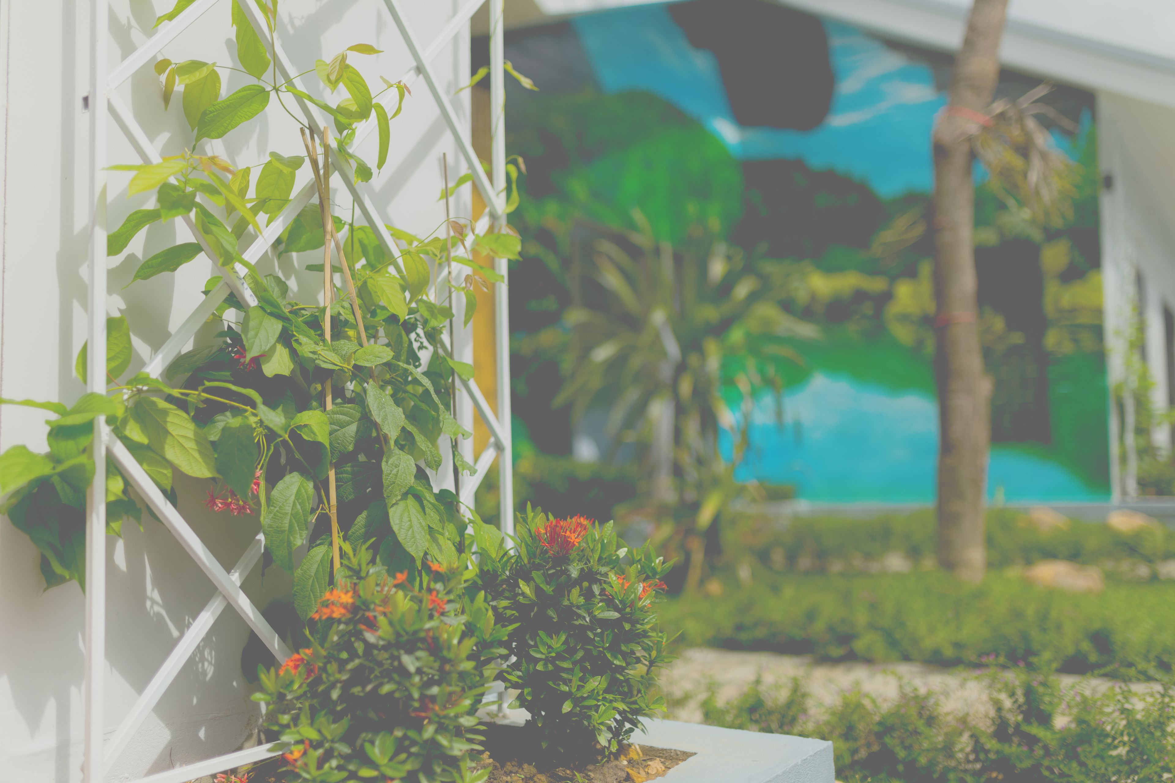 A garden with a white trellis and potted plants with red flowers, set against a mural of a tropical landscape.