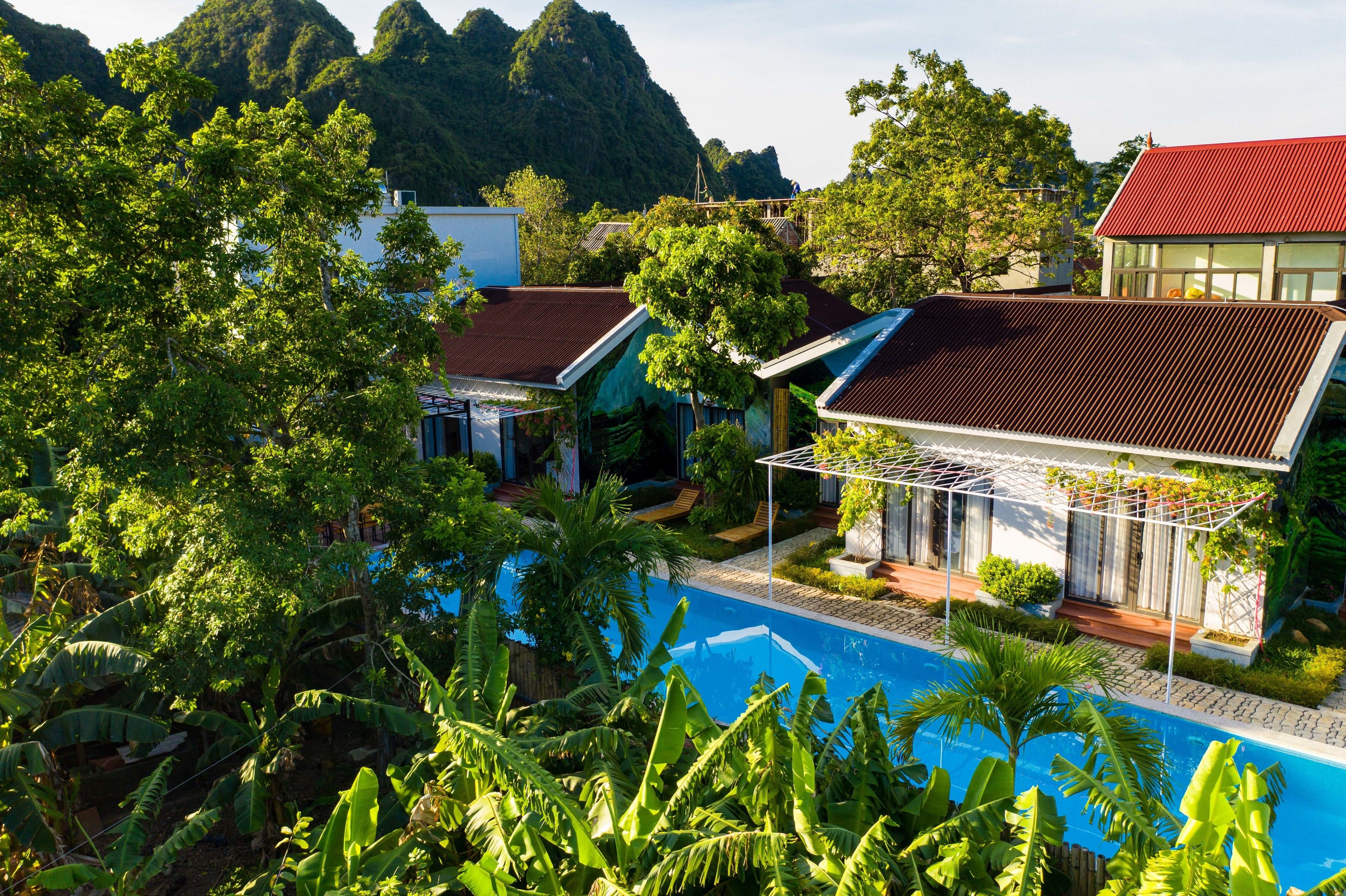 A resort with a swimming pool surrounded by lush greenery and tropical plants.