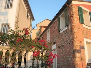 Exterior - Agriturismo Ca' dei Conti (San Bartolomeo al Mare)