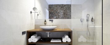 Ducha, cabezal de ducha tipo lluvia, secador de pelo, toallas
