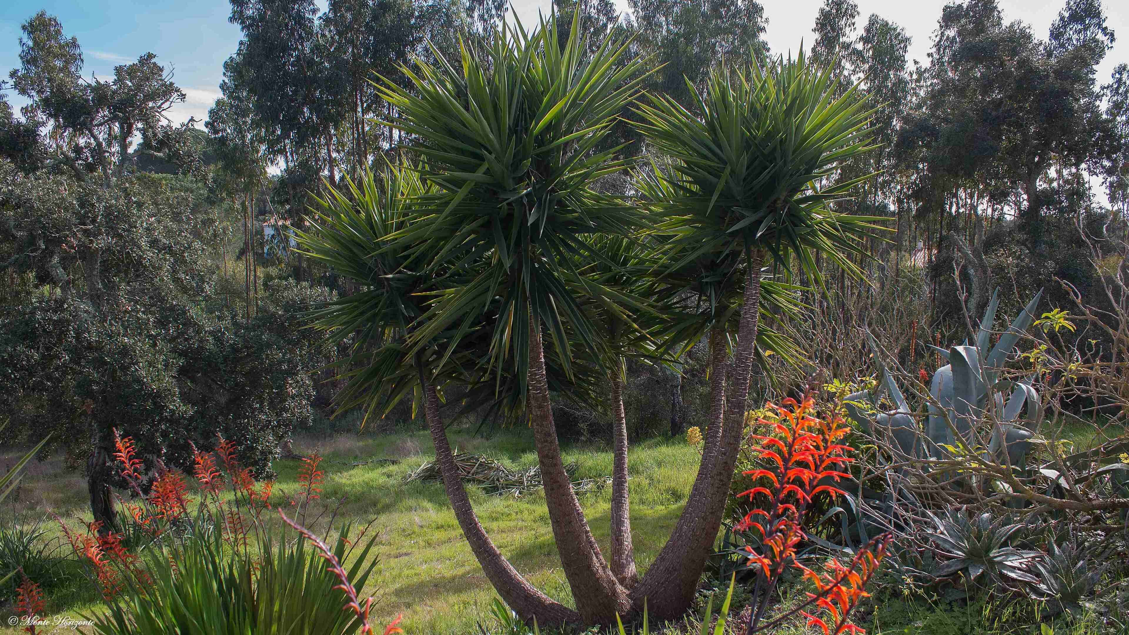 Terrain de l’hébergement 
