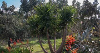 Monte Horizonte Casa Mimosa Eco & Nature