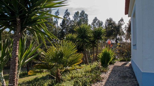 Monte Horizonte Casa Mimosa Eco & Nature