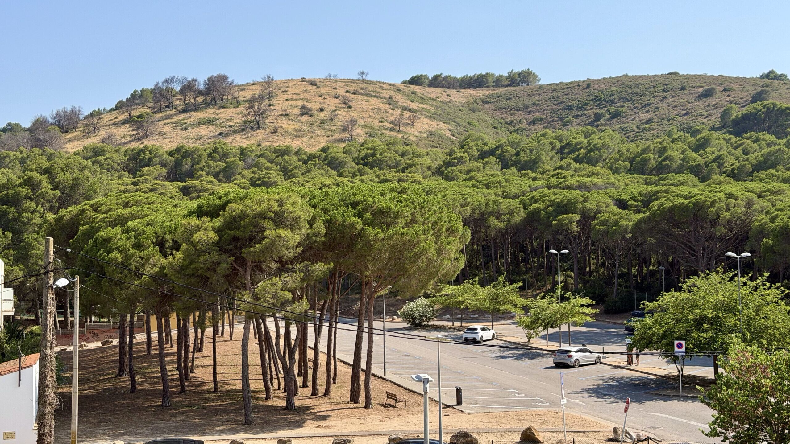 Un parking bordé d’arbres, une colline en arrière-plan et un ciel dégagé.