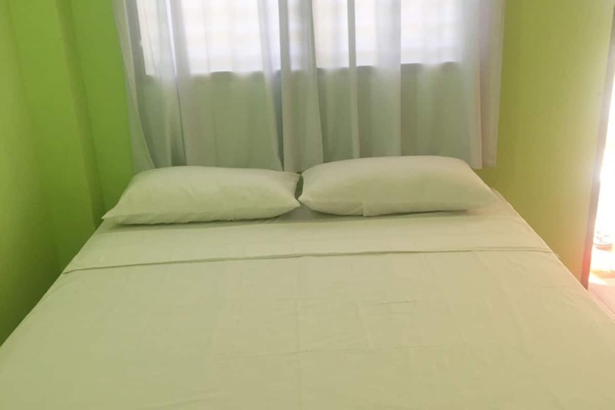 A single bed with white bedding in a room with green walls and sheer curtains.