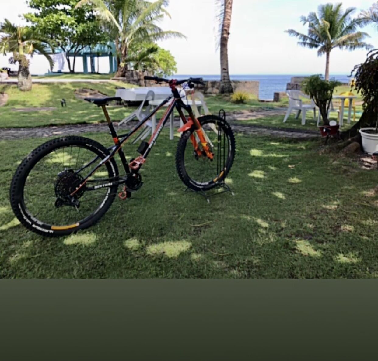 A mountain bike parked on a grassy lawn with a view of the ocean and palm trees in the background.