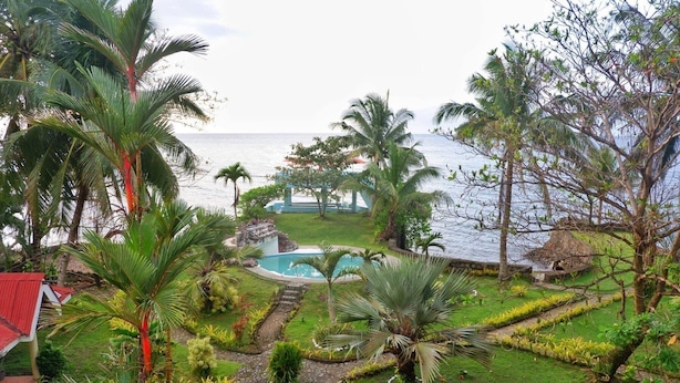 Un resort tropical con piscina rodeada de palmeras y vista al océano.