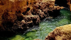 Miscellaneous - Albufeira Ocean view (62) (Albufeira)