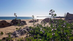 A beach with sand, rocks, and flowering plants. - Albufeira Ocean view (62) (Albufeira)