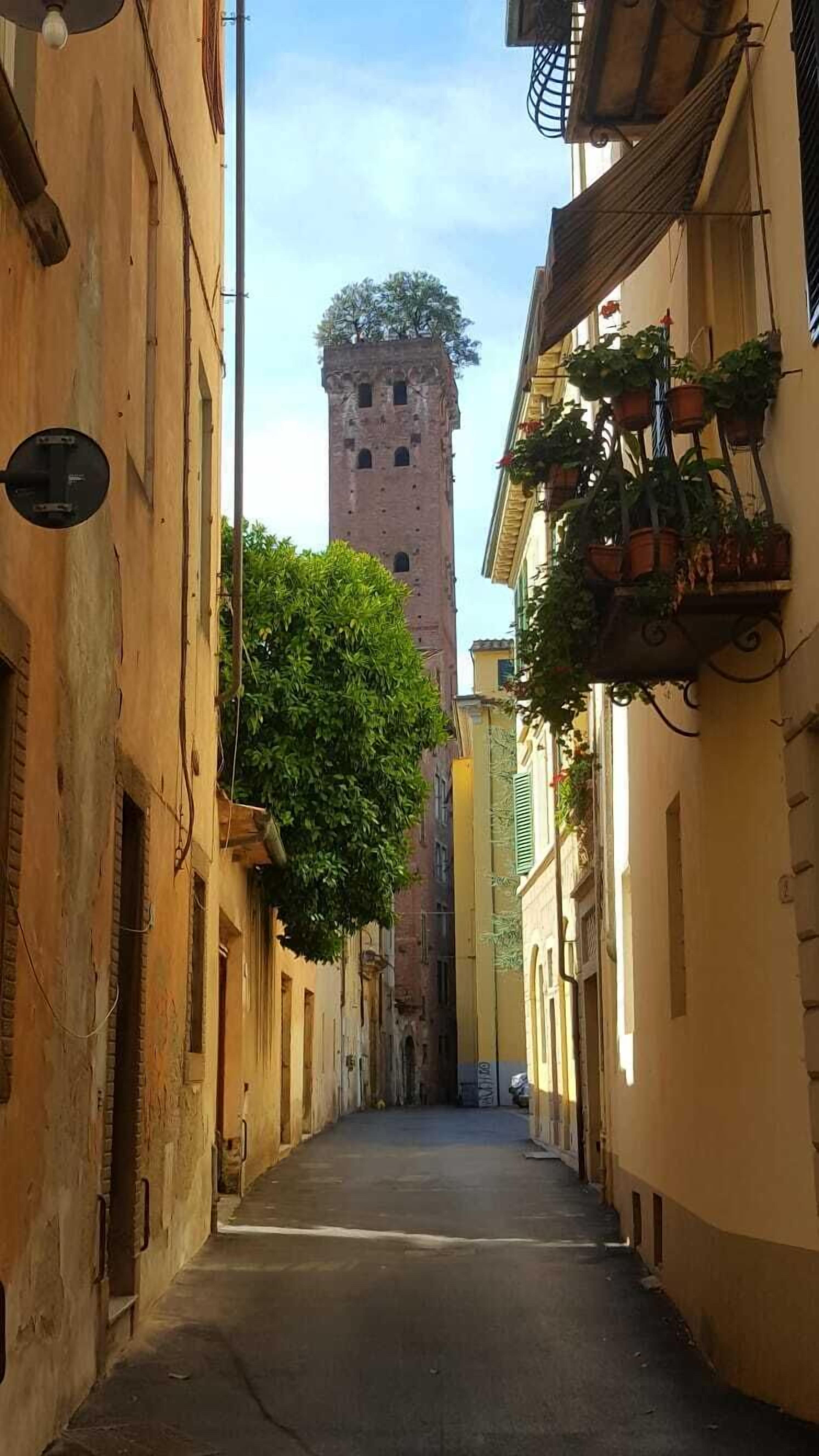 Foto - Perle d'Ambra