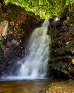 A waterfall in a forested area with moss-covered rocks and a pool at the base. - Killeavy Castle Estate (Newry)