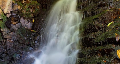 Killeavy Castle Estate