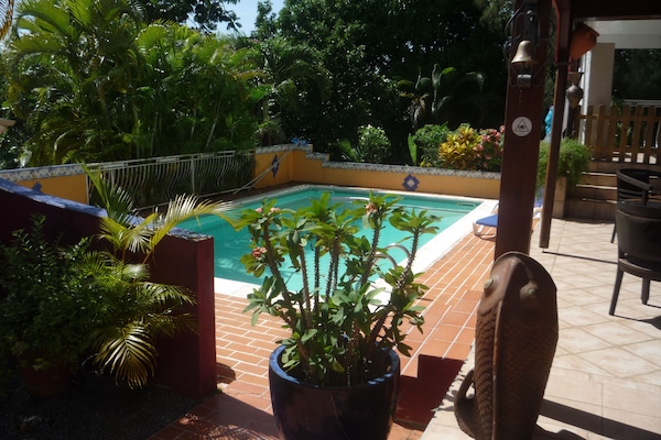 piscine 9M PAR 5M vue des terrasses