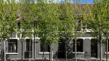Terras