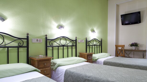Habitación de hotel con tres camas, cada una con un edredón de estampado diferente. Hay mesitas de noche con lámparas, una silla de madera y una pequeña mesa con una planta.