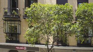 Un edificio con varios balcones, un árbol en la parte delantera y comercios con rótulos.