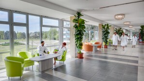Et rummeligt indendørs område med store vinduer, grønne stole og potteplanter.
