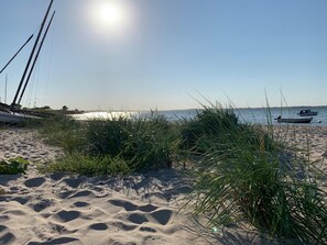 Playa en los alrededores y camastros 