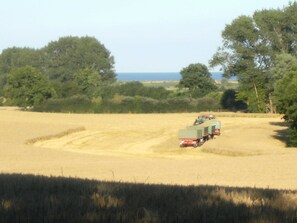 Botón de imagen sin clasificar, 4 de 15