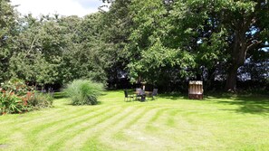 Botón de imagen sin clasificar, 5 de 15