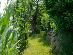 Un étroit sentier de pierre bordé d’une végétation luxuriante et d’arbres.