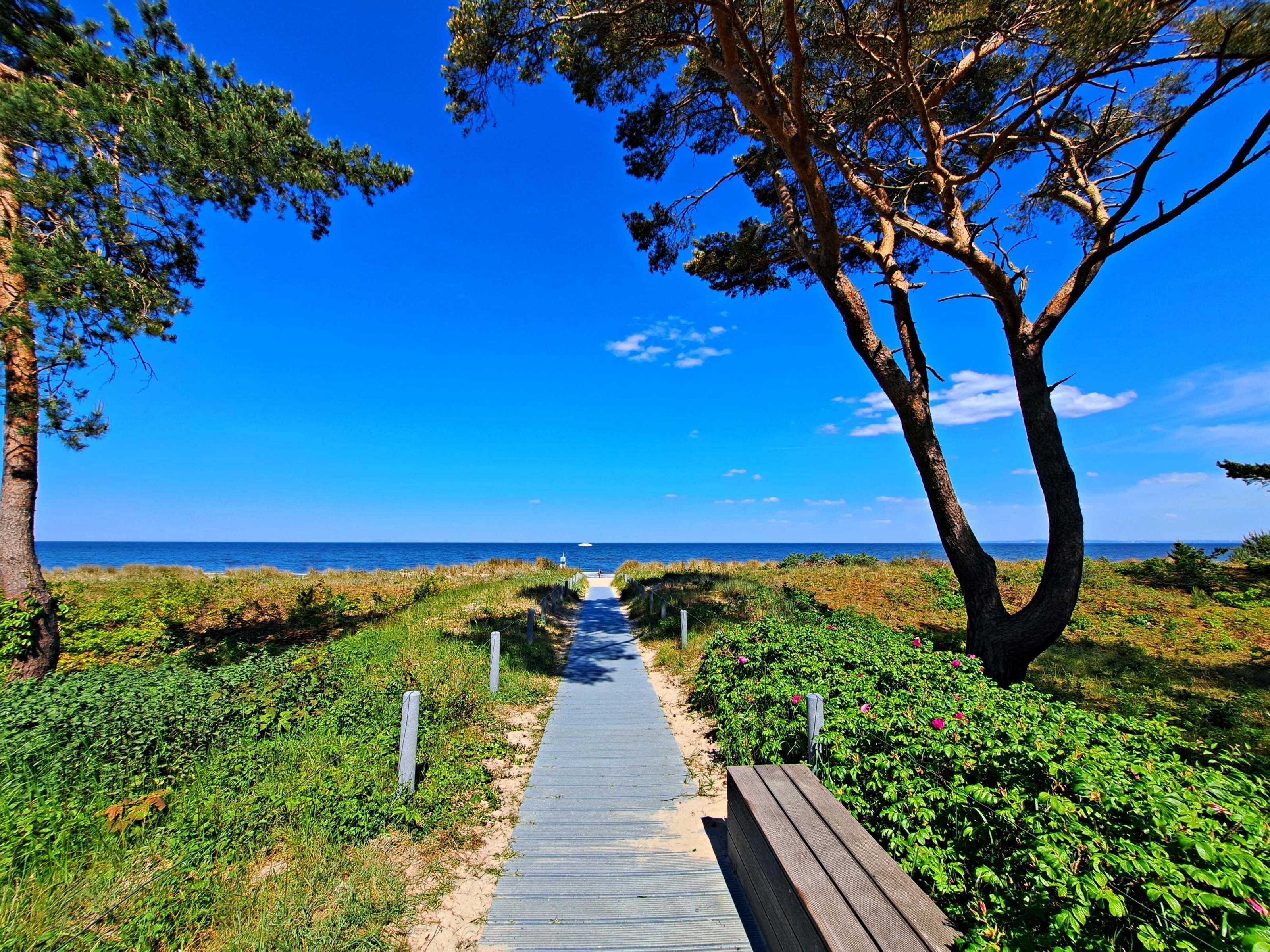 Ein Weg führt zu einem Strand mit blauem Himmel und einer Bank rechts.