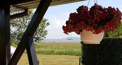Achterwasserblick - Bungalow - Achterwasserblick