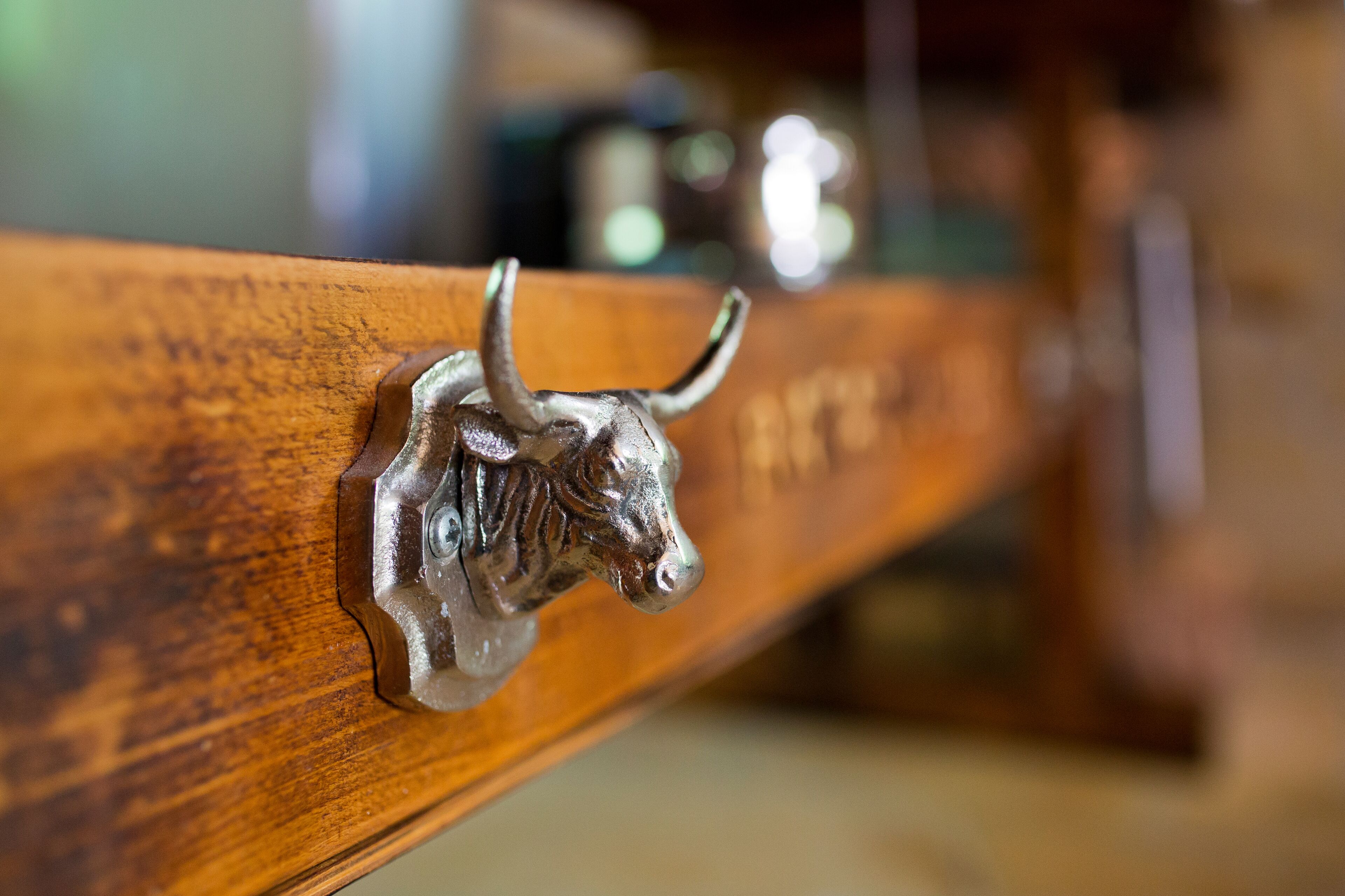 A close-up of a wooden bench with a metal bull's head ornament.