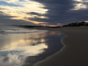 Beach - Oyster bay beach house (Oyster Bay)