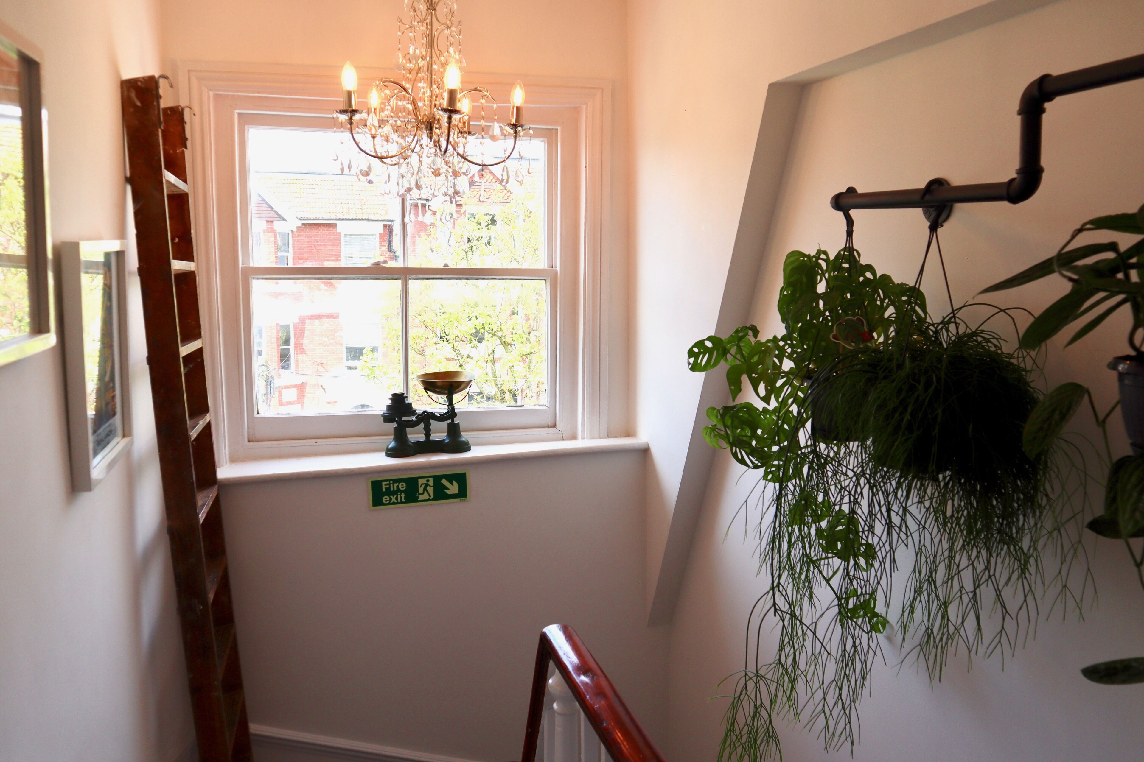 A staircase with a fire exit sign, a chandelier, and hanging plants.